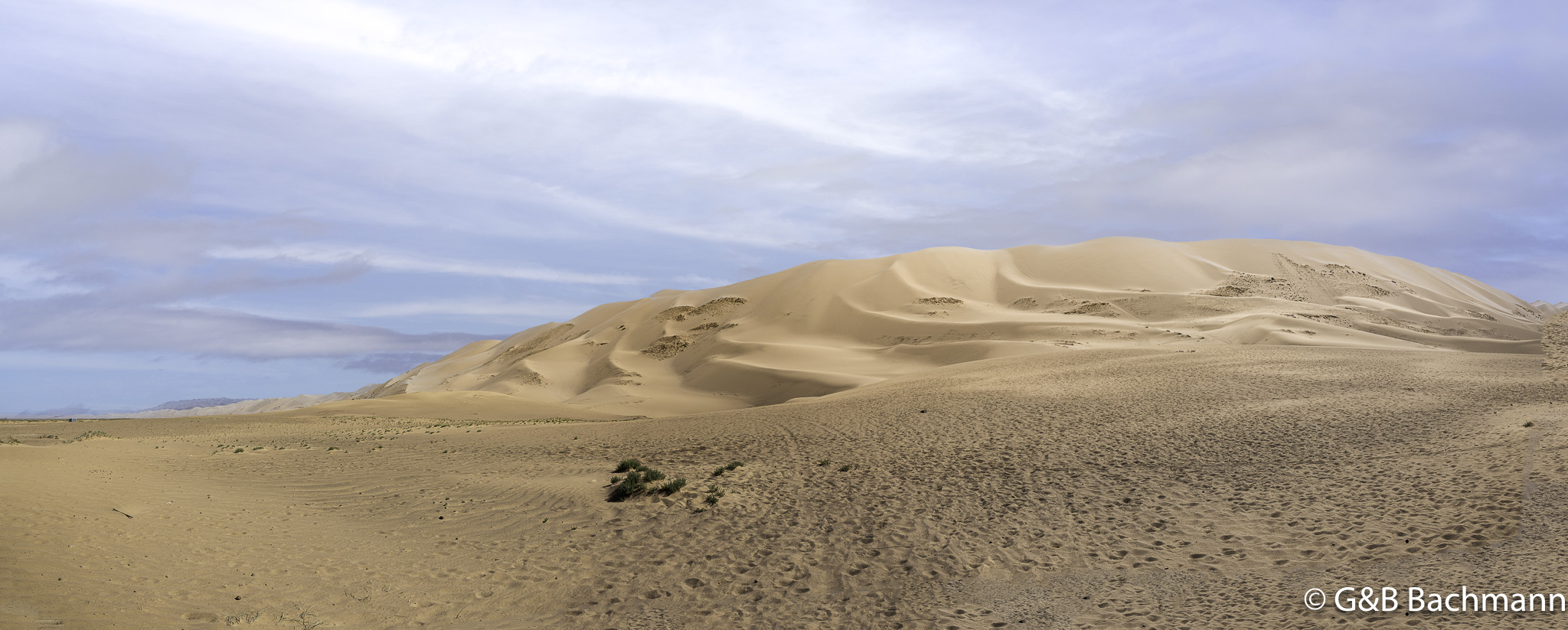 0W0A3599-Pano-Modifier.jpg