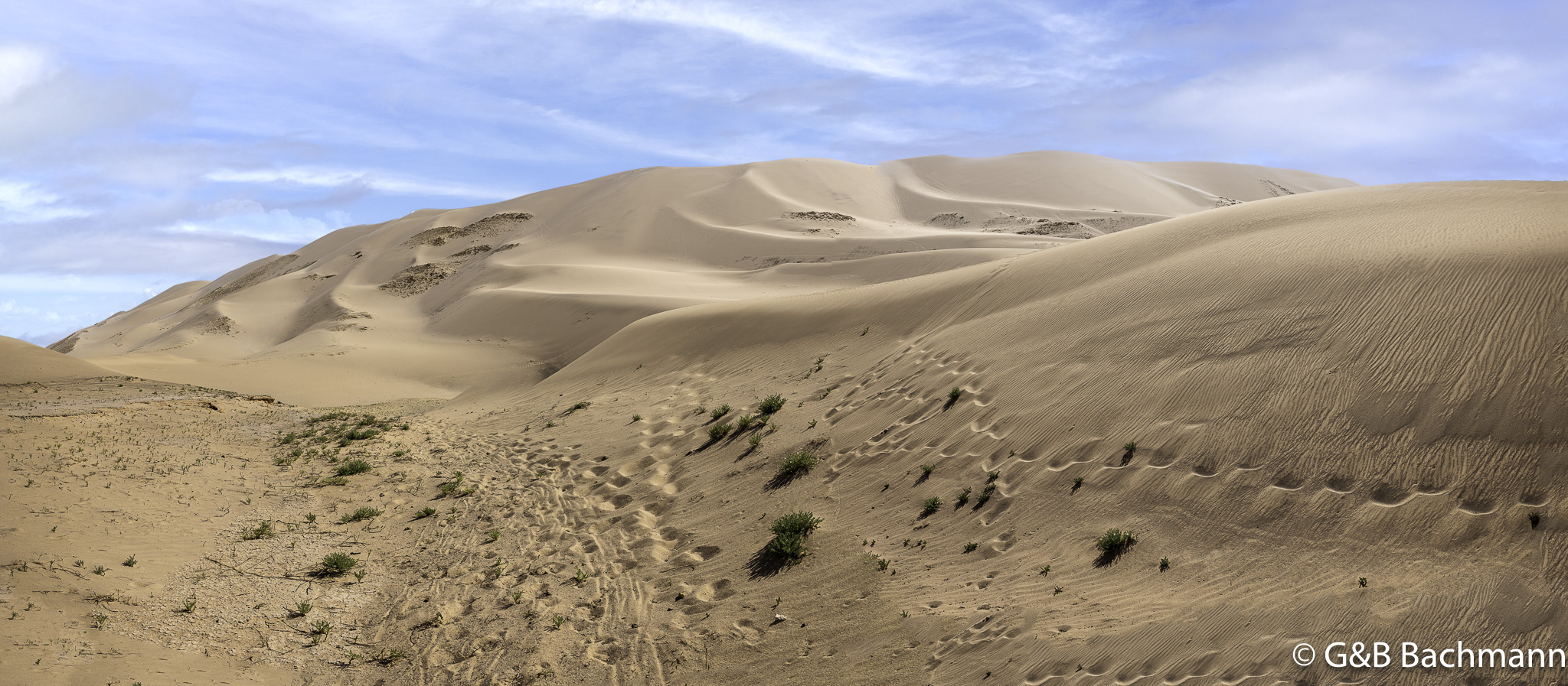 0W0A3604-Pano-Modifier.jpg