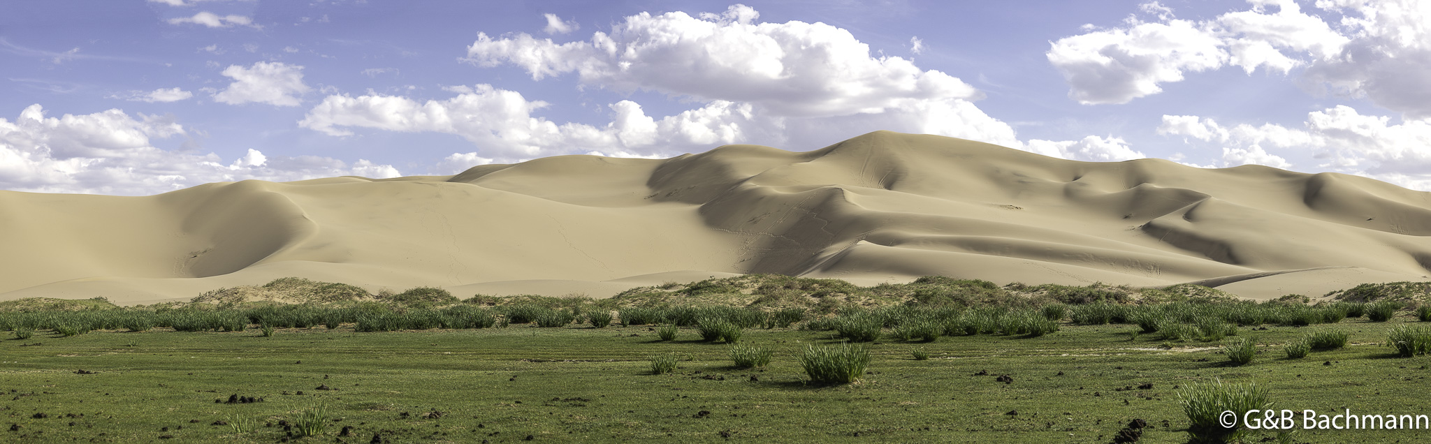 0W0A3627-Pano.jpg