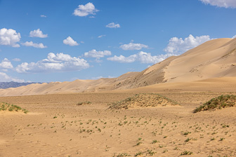 0W0A3587.jpg