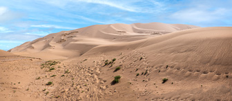 0W0A3604-Pano-Modifier.jpg