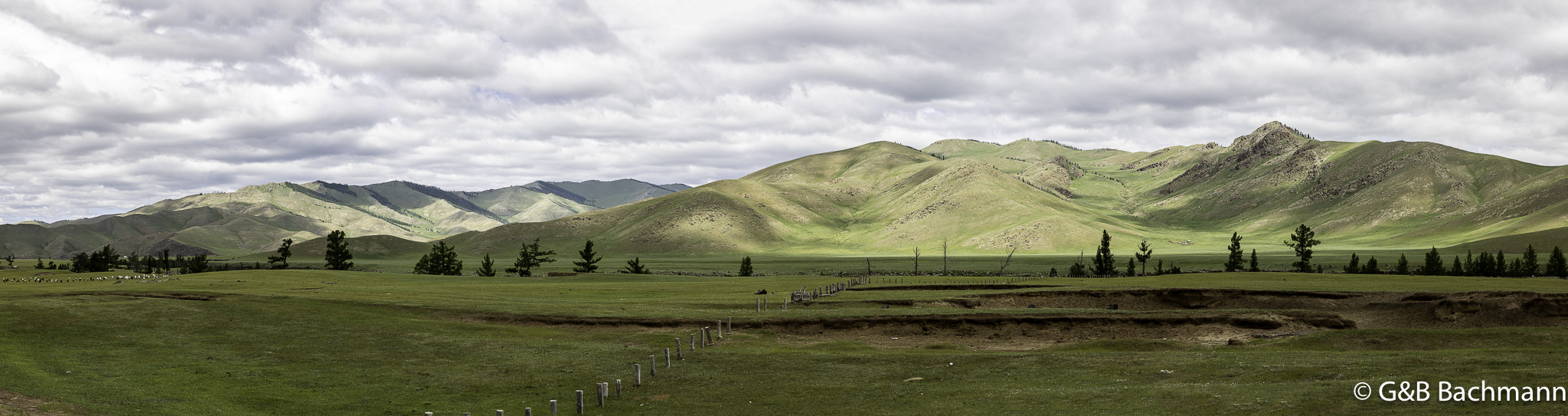 0W0A3253-Pano.jpg