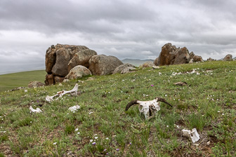 0W0A3375.jpg