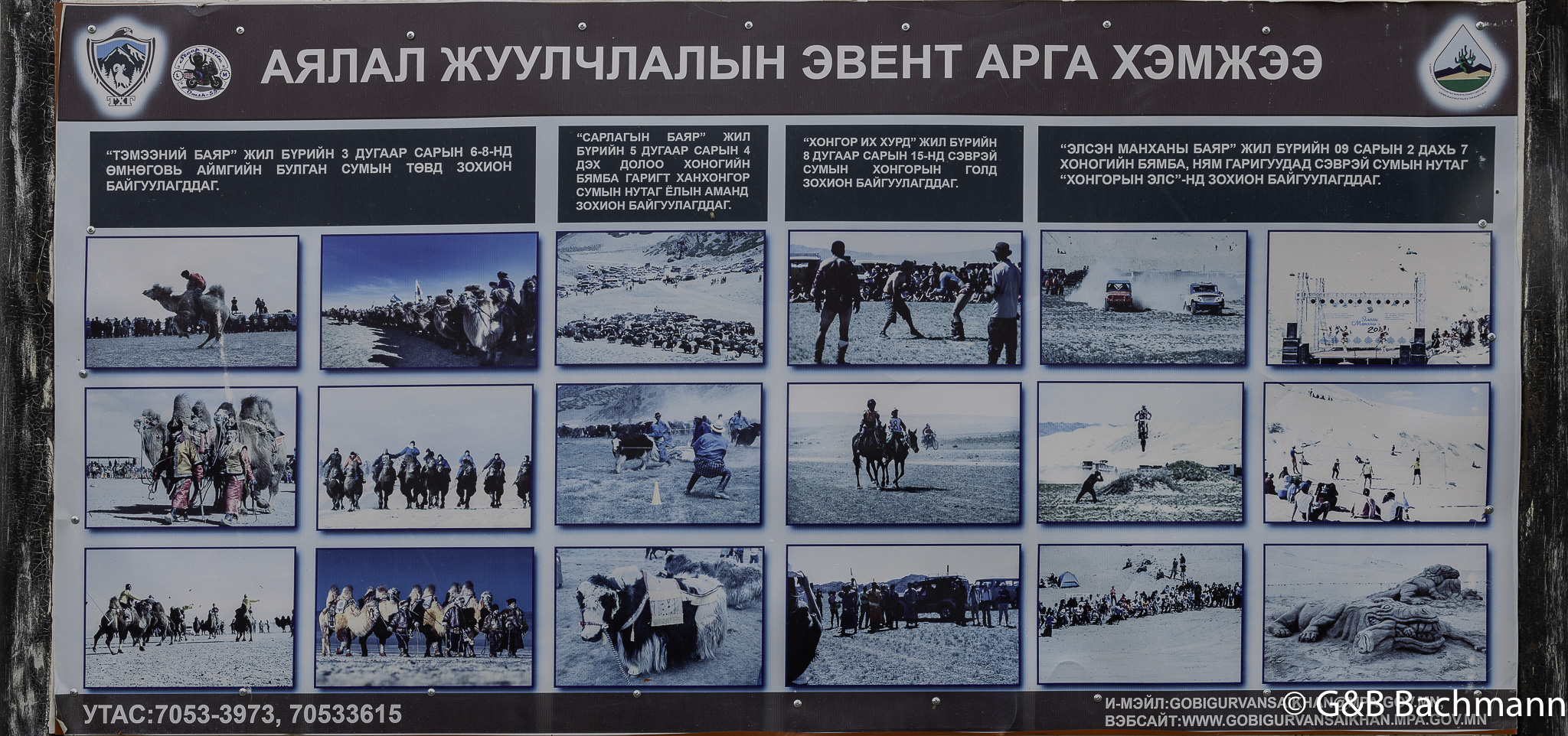 0W0A3765.jpg