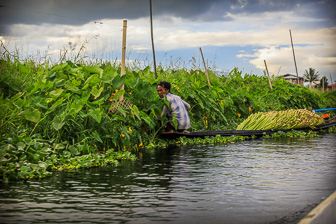 Floating Garden