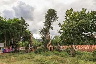 108A6749.jpg