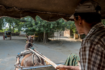 Myanmar_Ava-11.jpg