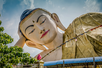 108A7706-Edit.jpg