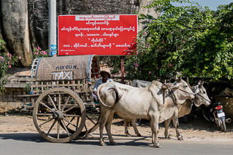 Myanmar_Mingun-118.jpg