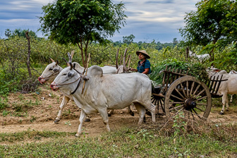 On the road via Mt Popa