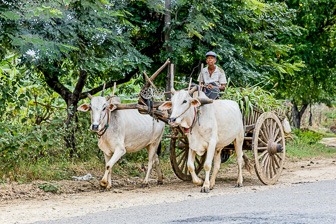 On the road via Mt Popa