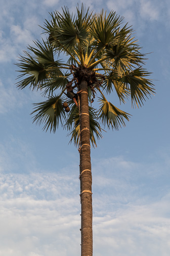 108A5045.jpg