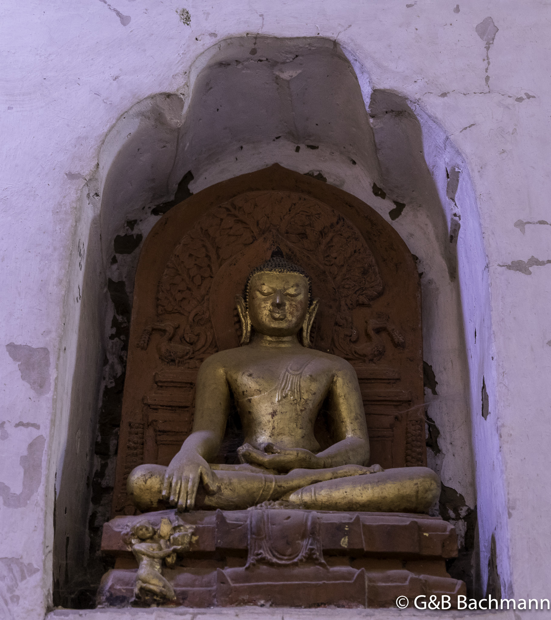 108A5222.jpg