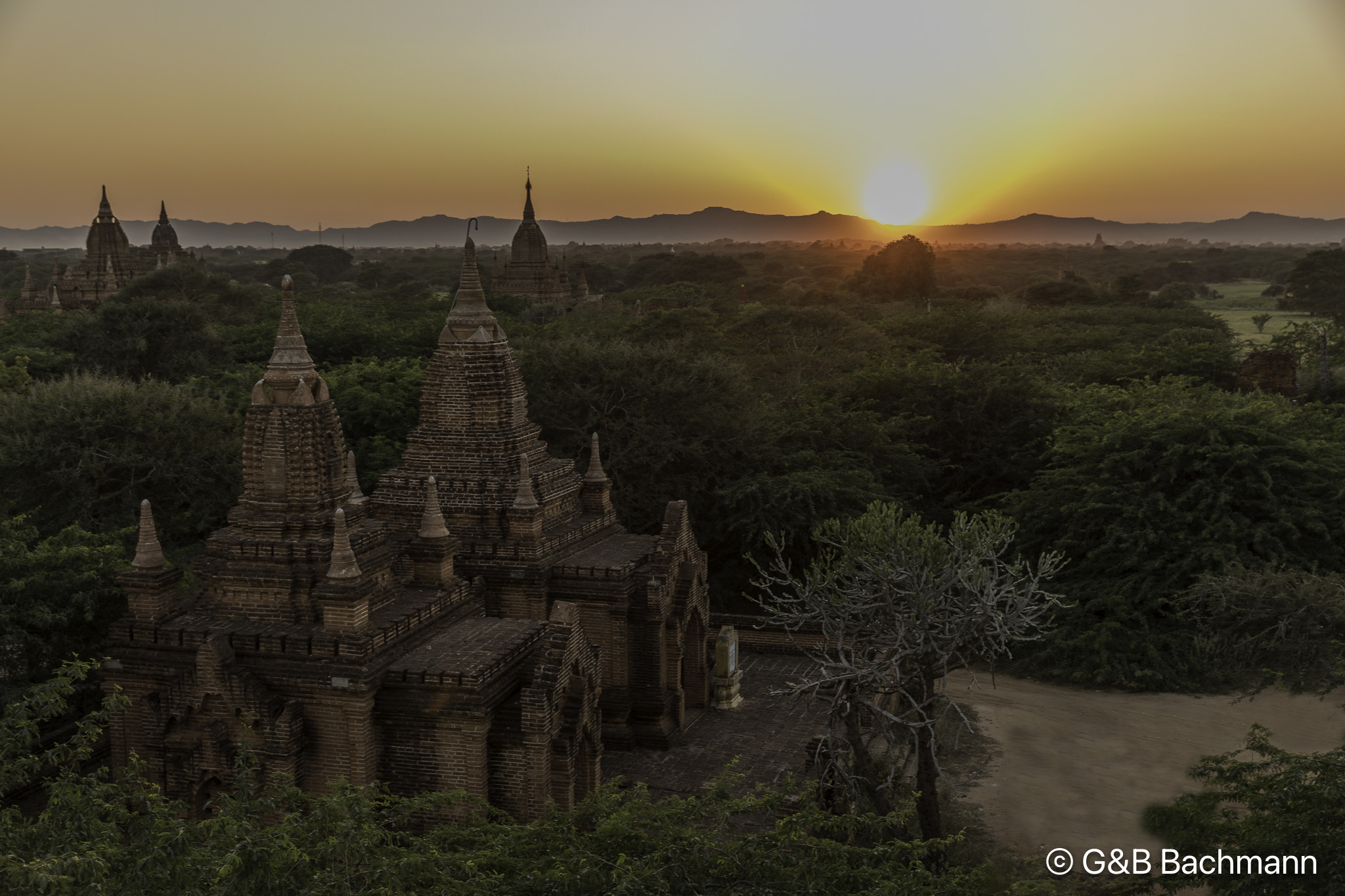108A5464-Edit-Edit.jpg