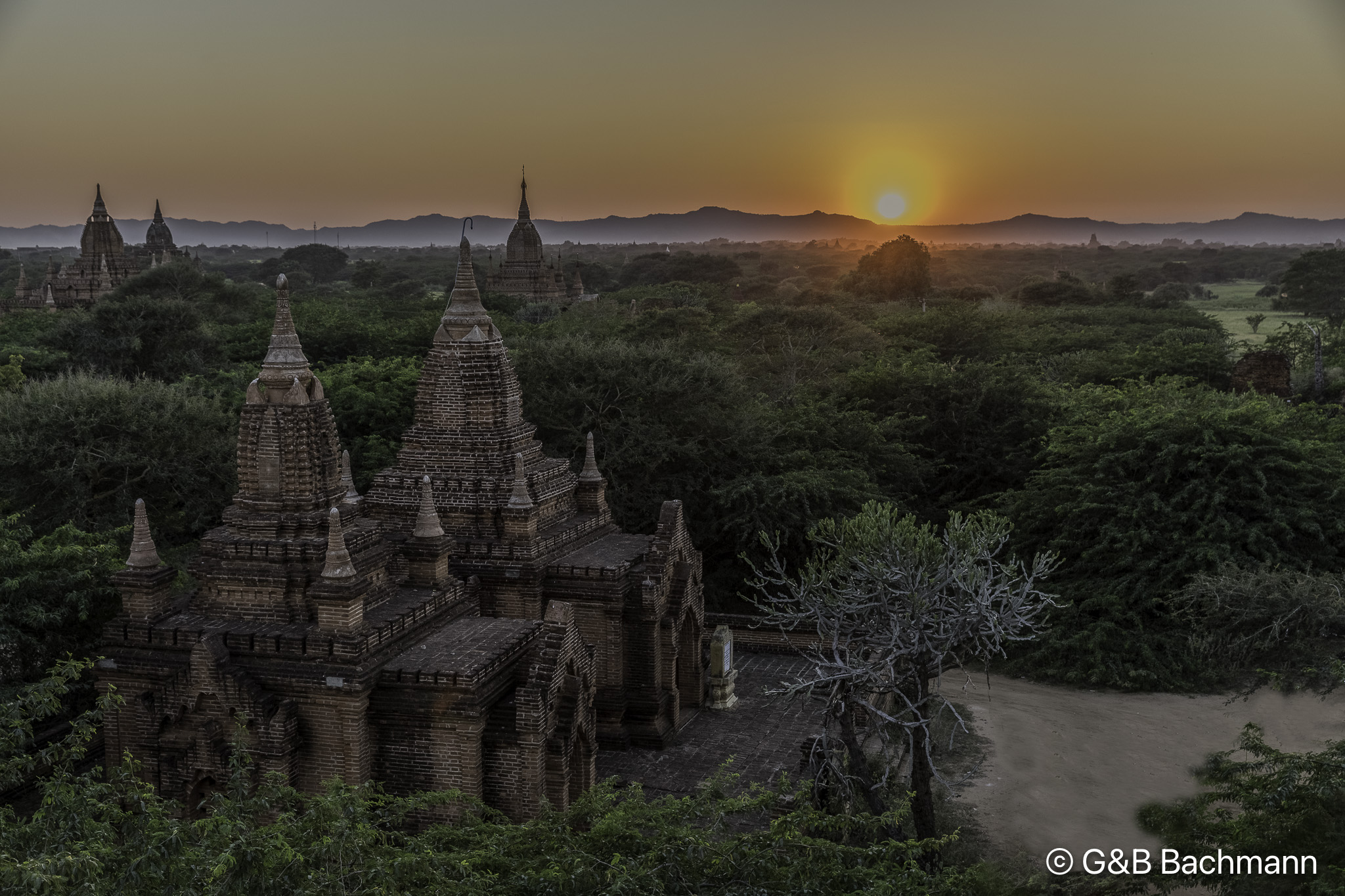 108A5465-Edit-Edit.jpg