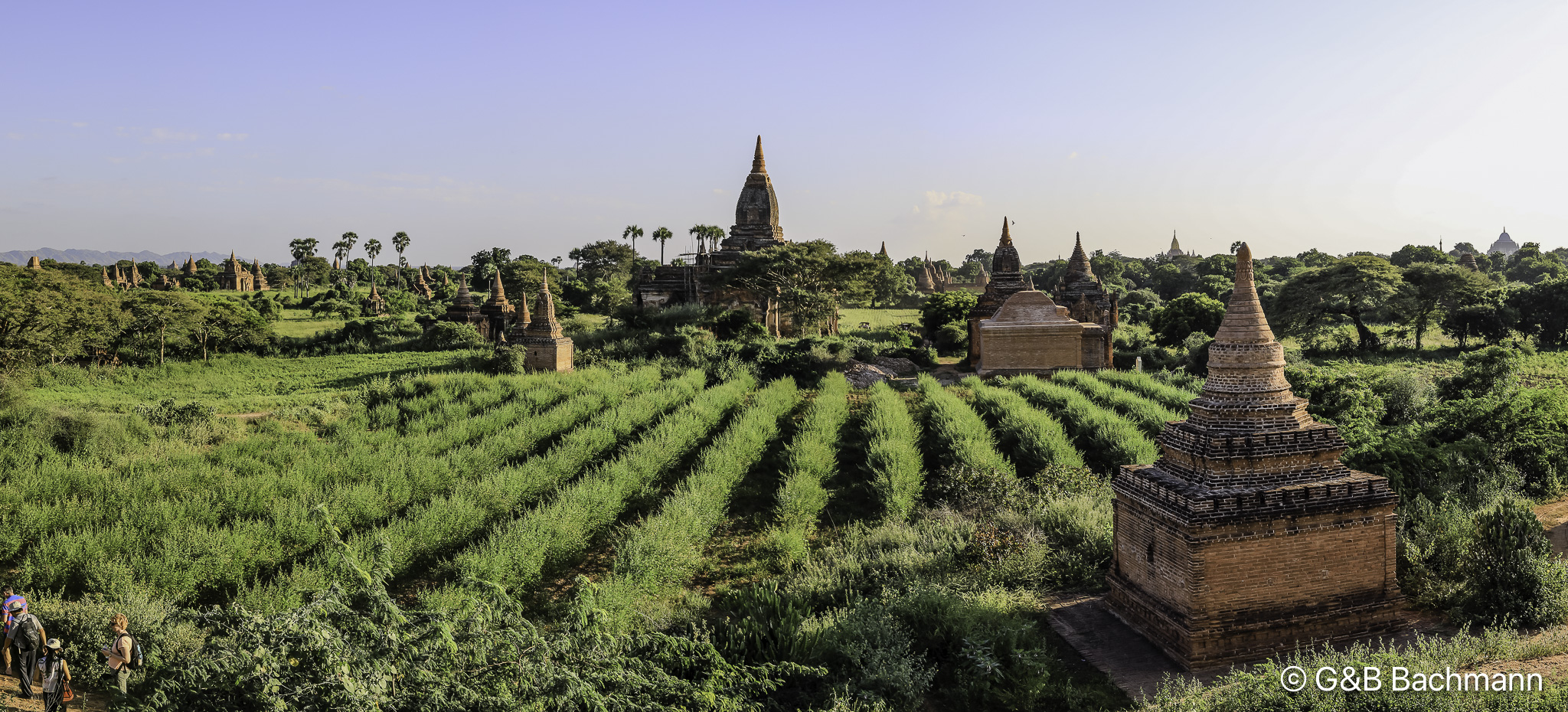 108A5977-Pano.jpg