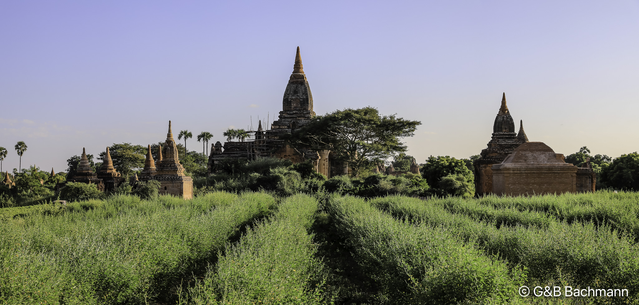 108A5991-Pano.jpg