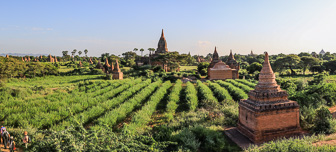 108A5977-Pano.jpg