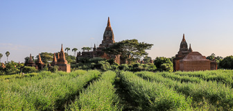 108A5991-Pano.jpg