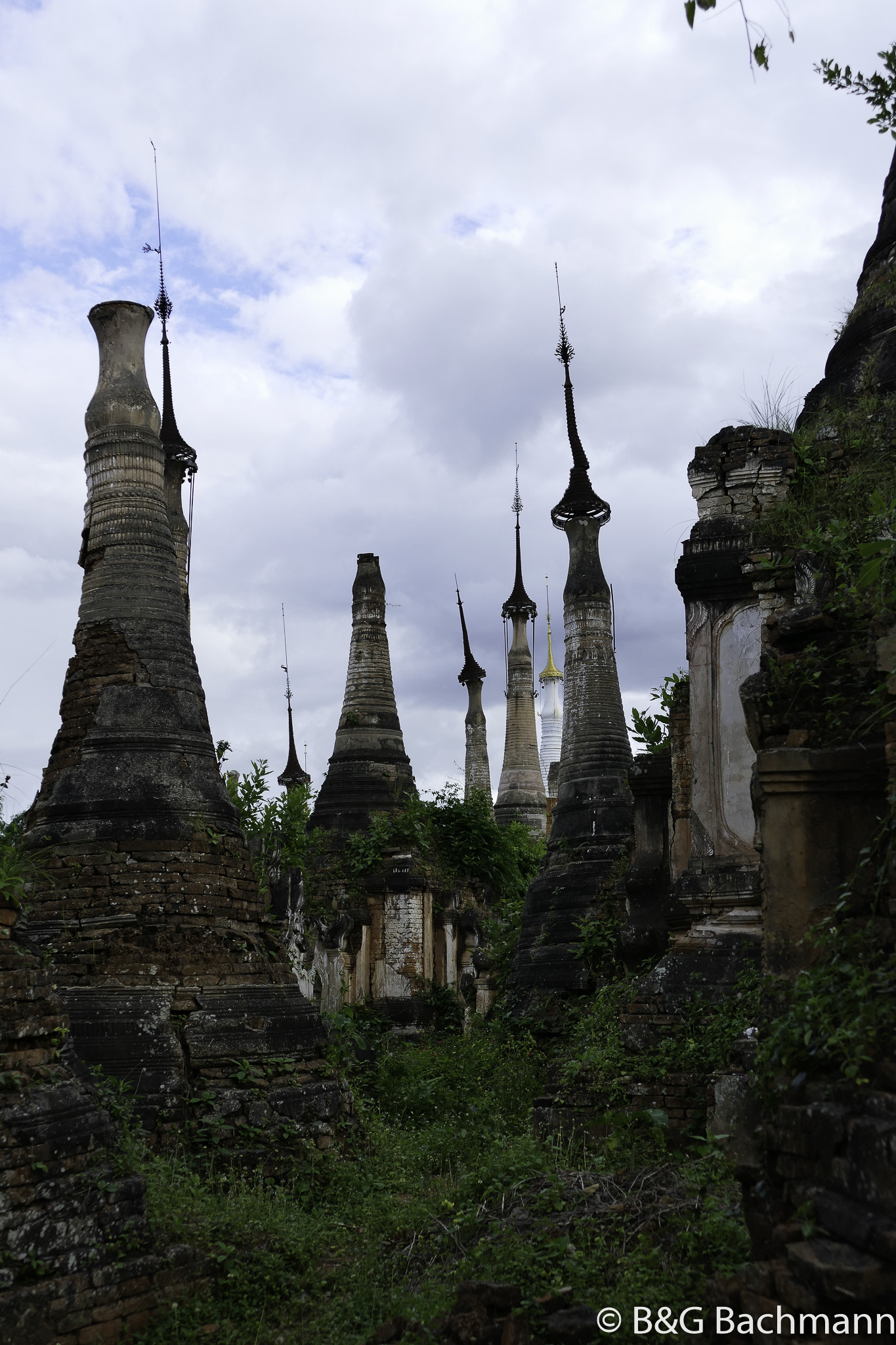 _1050026.jpg