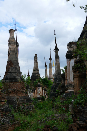 _1050026.jpg