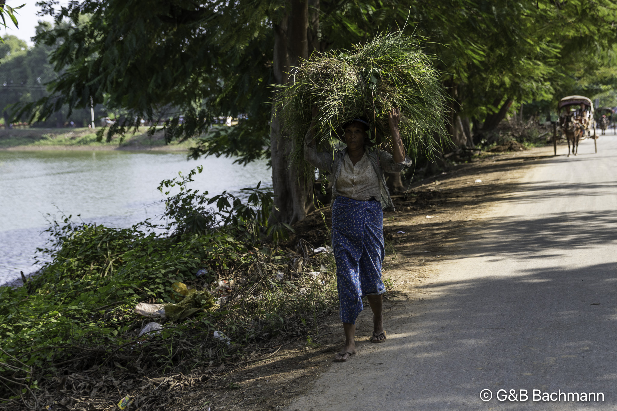 Myanmar_Ava-15.jpg