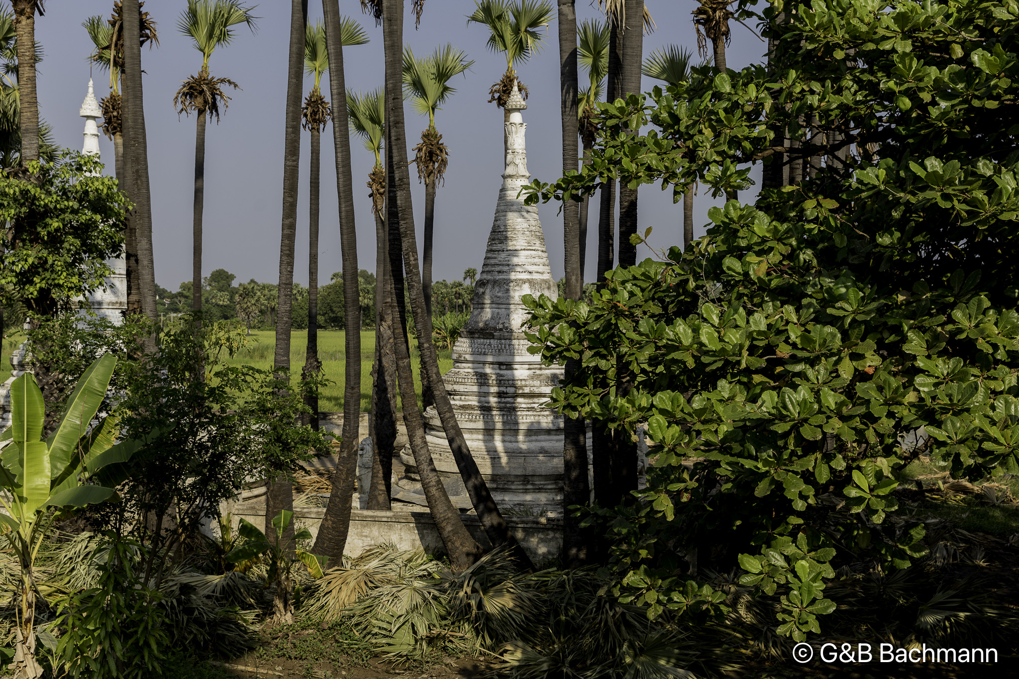 Myanmar_Ava-51.jpg