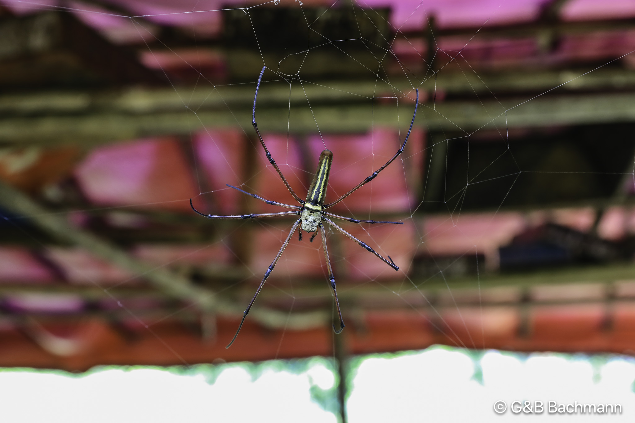108A7232.jpg