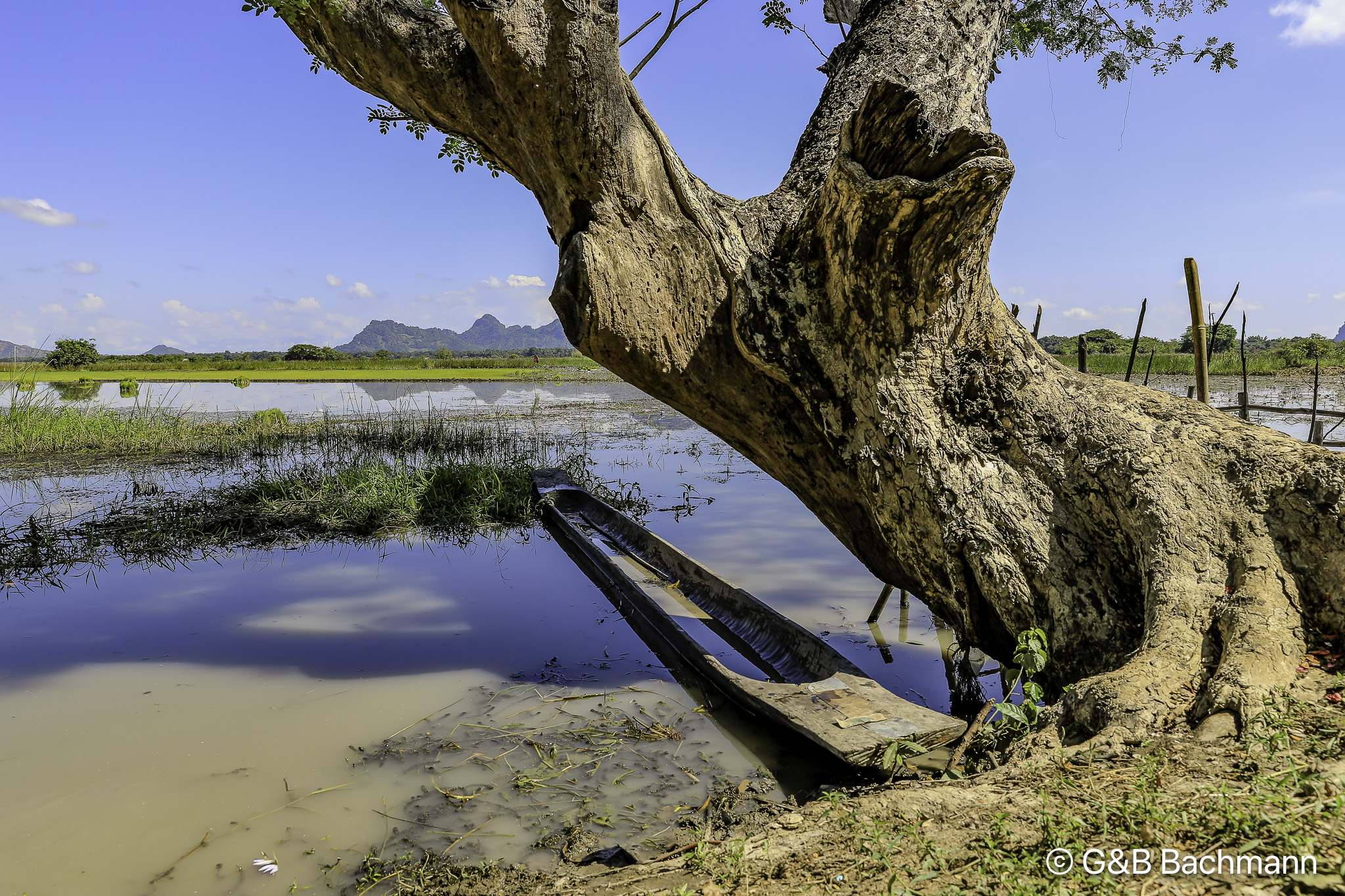 108A7512-Edit.jpg
