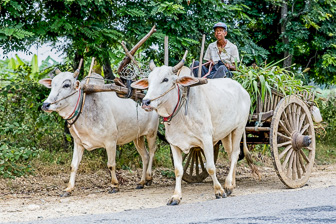 On the road via Mt Popa