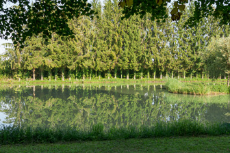 Nature Nature
