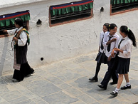 IMG_2631.jpg