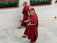 IMG_2638.jpg