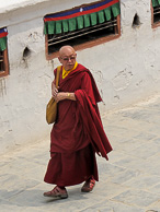IMG_2642.jpg