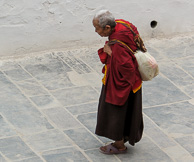 IMG_2648.jpg