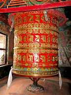 IMG_2656.jpg