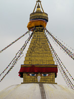 IMG_2659.jpg