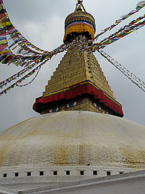 IMG_2669.jpg