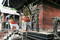 IMG_6176.jpg