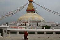 IMG_6195.jpg