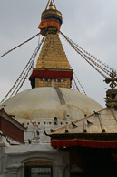 IMG_6207.jpg