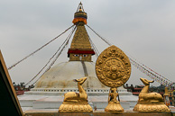 IMG_6210.jpg