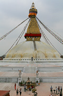 IMG_6215.jpg