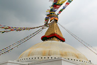 IMG_6225.jpg