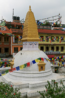 IMG_6226.jpg