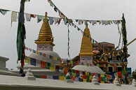 IMG_6246.jpg