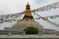 IMG_6247.jpg