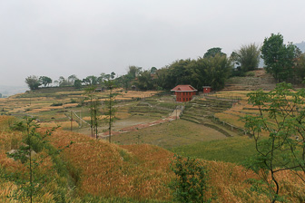 IMG_5326.jpg