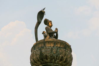IMG_5442.jpg