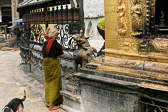 Swyambhunath_0046.jpg